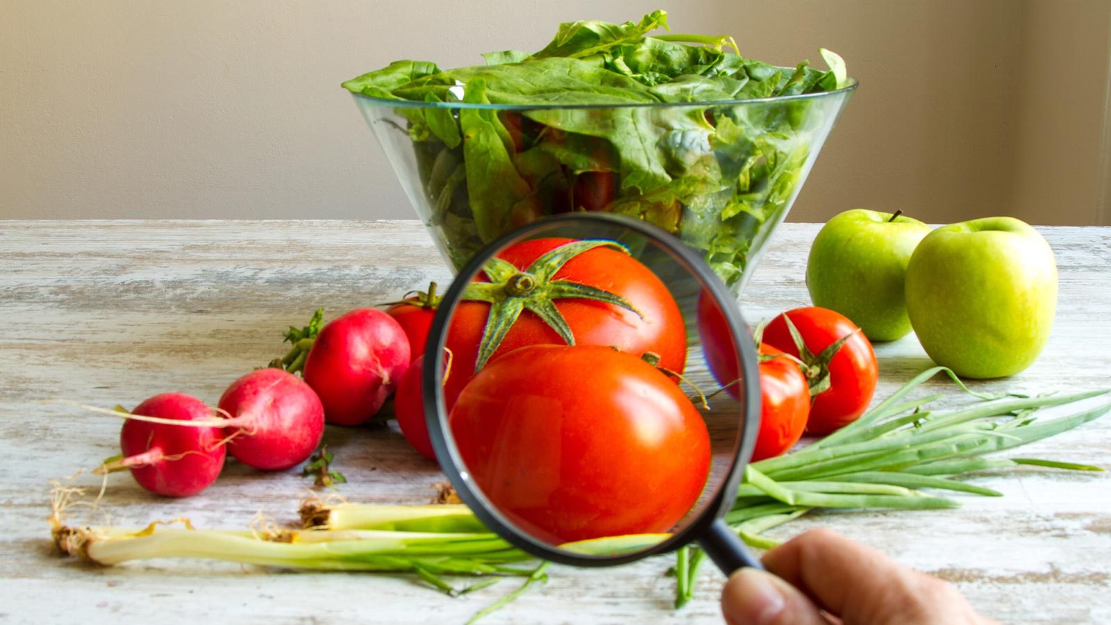 Seguridad alimentaria en la Unión Europea